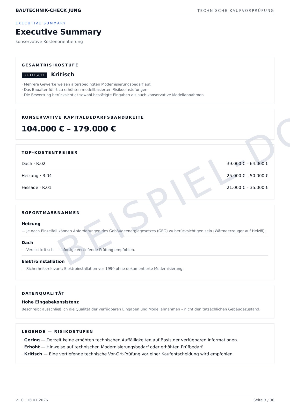 Beispielseite Executive Summary aus dem Dossier